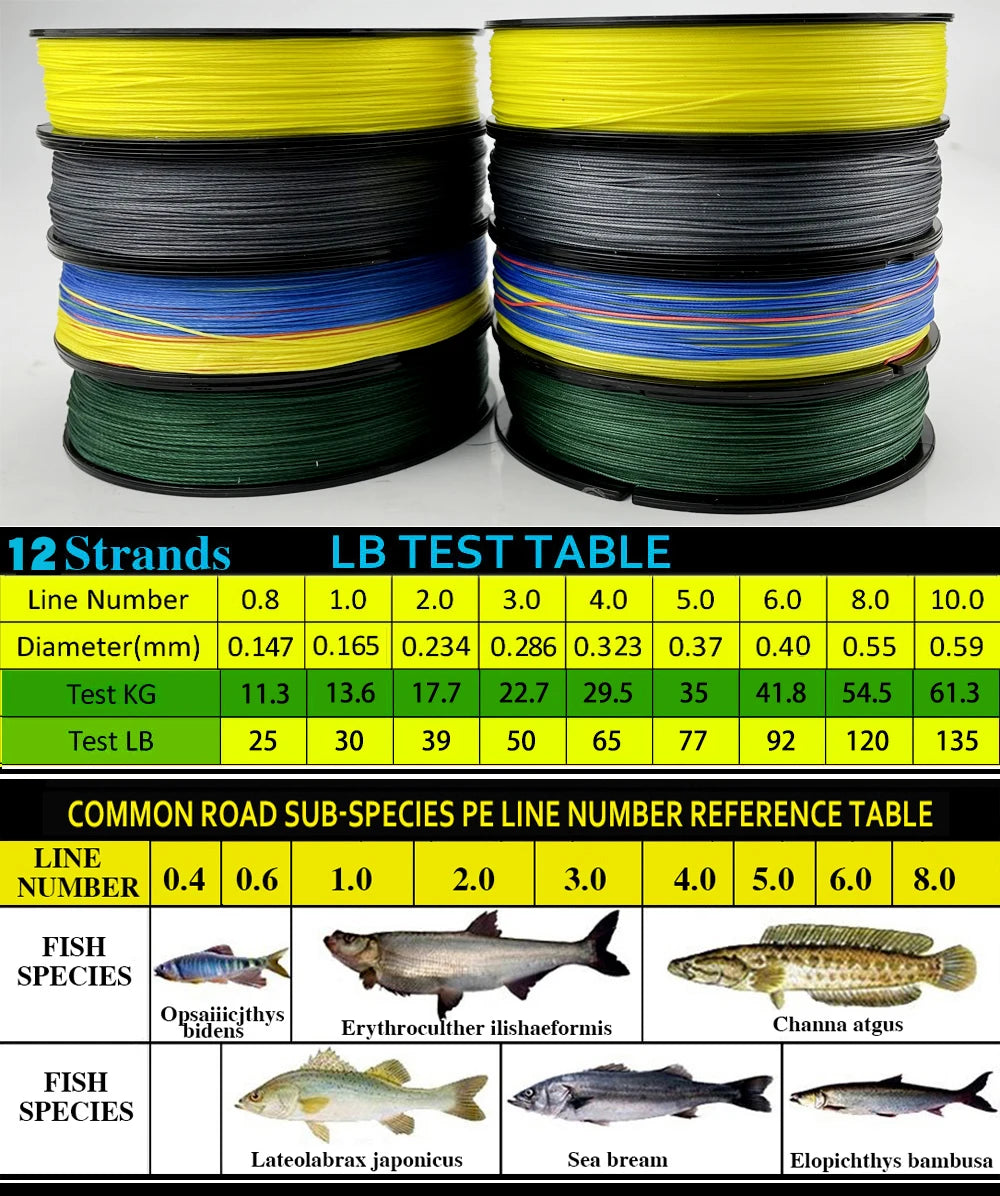 H2932f3502ec04f9ca36ad05c69755682O